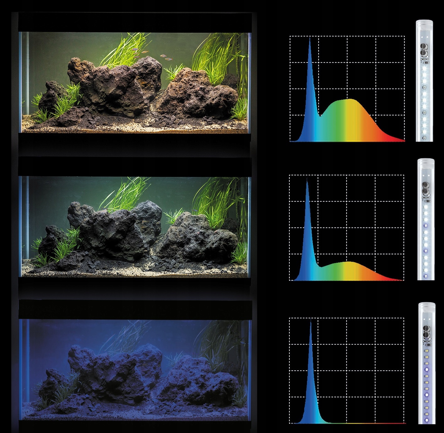 Akwarium profil 60 LED Czarne 10W D&N + Full wyposażenie + Gratis